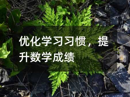 優(yōu)化學習習慣,提升數(shù)學成績
