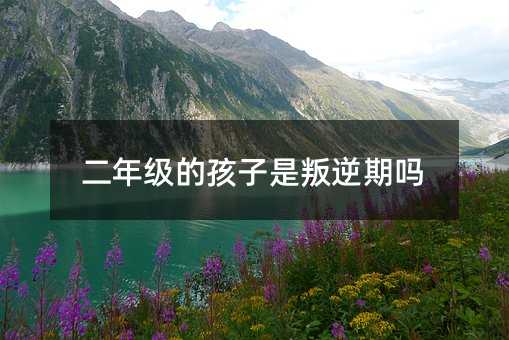 二年級的孩子是叛逆期嗎