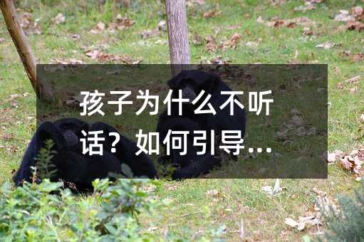 孩子為什么不聽話?如何引導(dǎo)他們