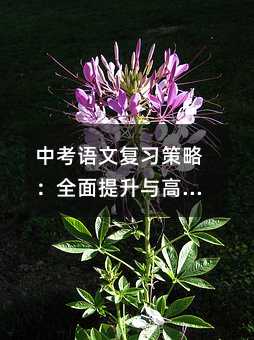 中考語文復習策略:全面提升與高效備考