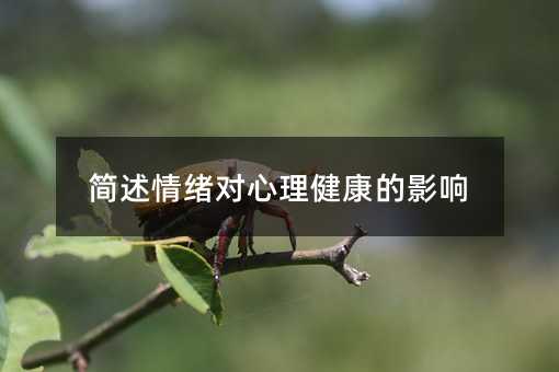 簡述情緒對心理健康的影響
