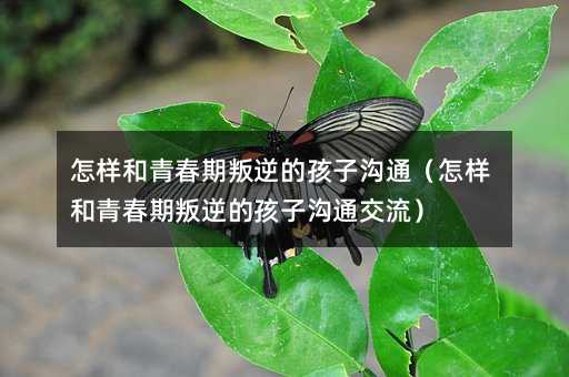 ӺഺĺӜͨӺഺĺӜͨ