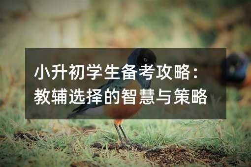 СW(xu)俼ԣoxǻc
