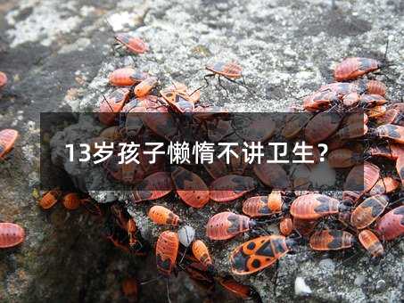 13歲孩子懶惰不講衛(wèi)生?