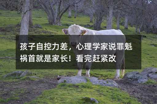 ԿW(xu)f?zhn)׾ǼLso