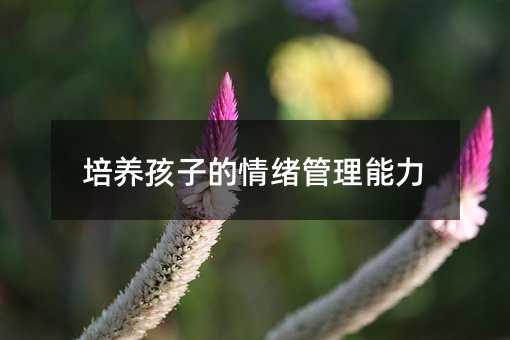 培養(yǎng)孩子的情緒管理能力
