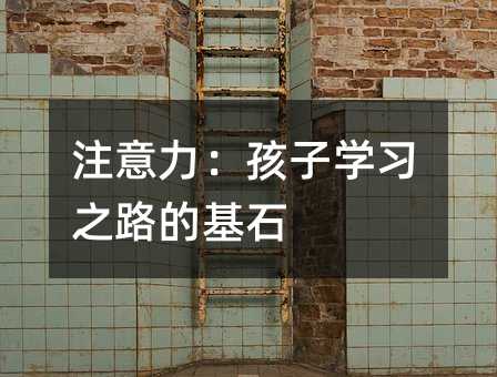 注意力:孩子學習之路的基石