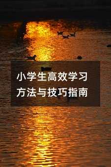 小學生高效學習方法與技巧指南