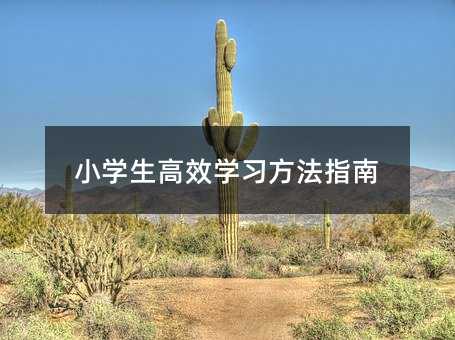 小學(xué)生高效學(xué)習(xí)方法指南