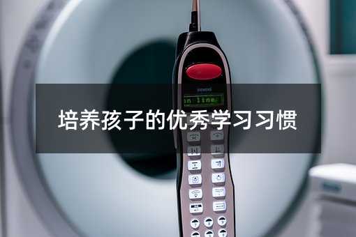 培養(yǎng)孩子的優(yōu)秀學(xué)習(xí)習(xí)慣