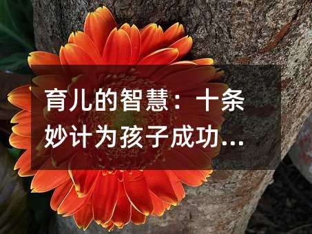 ǻۣʮlӋ(j)麢ӳɹ·