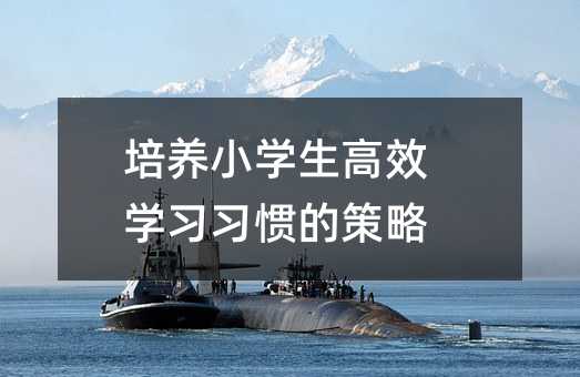 培養(yǎng)小學(xué)生高效學(xué)習(xí)習(xí)慣的策略