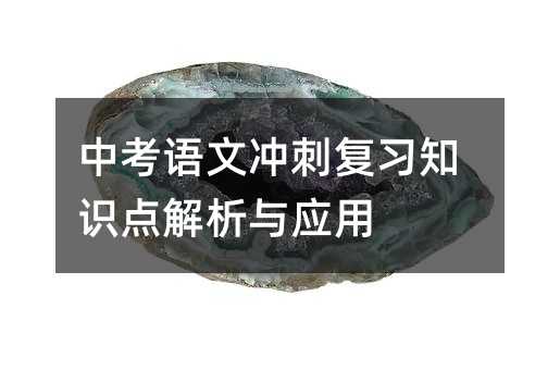 中考語文沖刺復(fù)習(xí)知識點解析與應(yīng)用