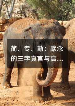 ڣĬc߿ĳɹ֮·