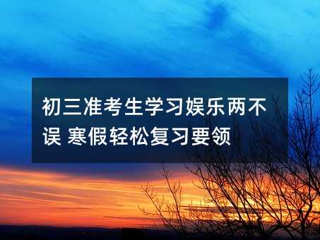 初三準考生學習娛樂兩不誤 寒假輕松復習要領