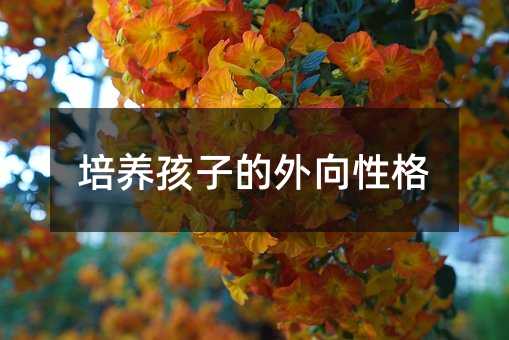 培養孩子的外向性格