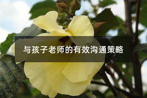 與孩子老師的有效溝通策略
