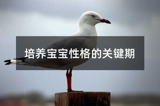 培養寶寶性格的關鍵期