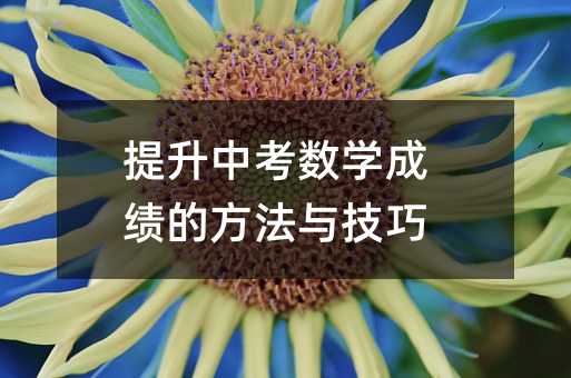 提升中考數學成績的方法與技巧