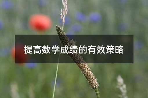 提高數學成績的有效策略