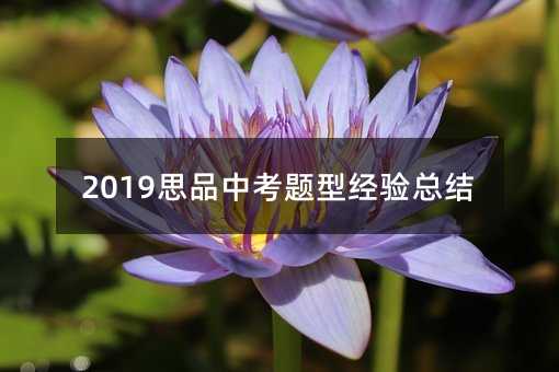 2019˼Ʒп}ͽ򞿂Y