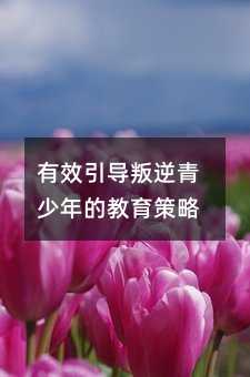 有效引導叛逆青少年的教育策略