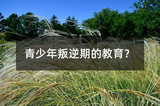 青少年叛逆期的教育?