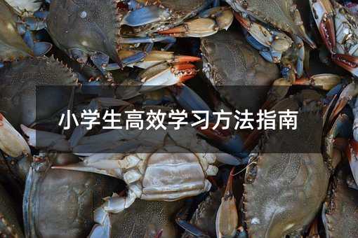 小學生高效學習方法指南