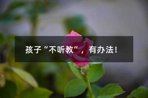 孩子“不聽教”,有辦法!