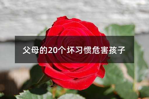 父母的20個(gè)壞習(xí)慣危害孩子