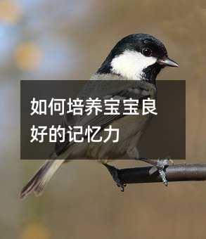 Bõӛ