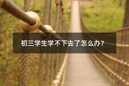初三學生學不下去了怎么辦?