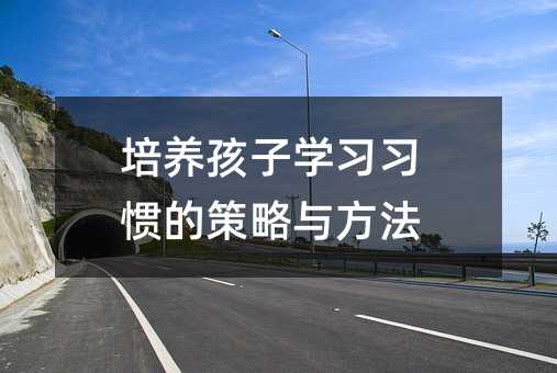 培養孩子學習習慣的策略與方法