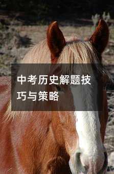 пvʷ}c