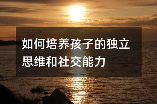 如何培養(yǎng)孩子的獨(dú)立思維和社交能力