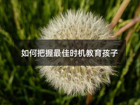 ΰѕrC