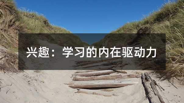 興趣:學習的內在驅動力