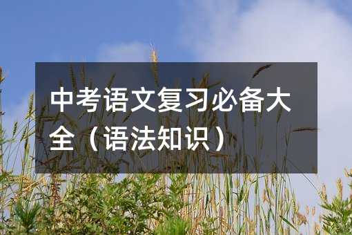 中考語文復習必備大全(語法知識)