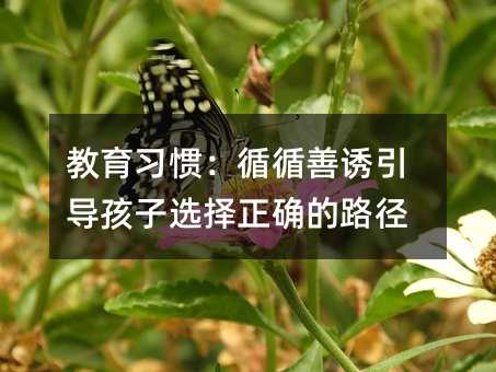 教育習慣:循循善誘引導孩子選擇正確的路徑