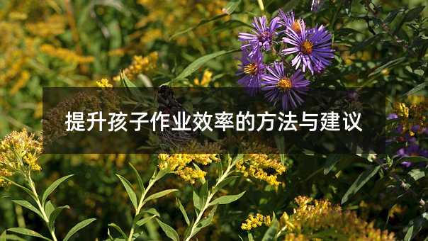 提升孩子作業效率的方法與建議