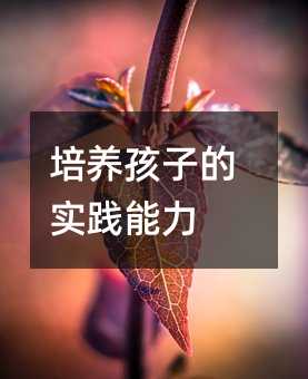 ���B���ӵČ��`����