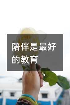 陪伴是最好的教育