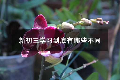 新初三學(xué)習(xí)到底有哪些不同