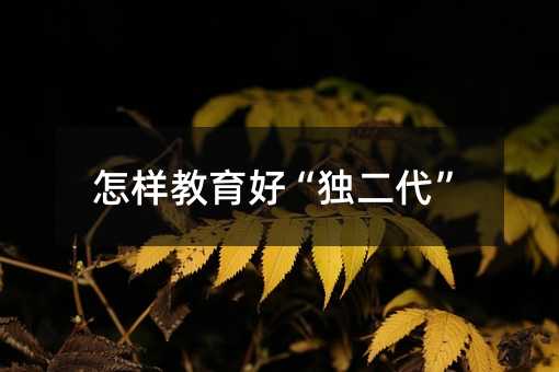 怎樣教育好“獨二代”