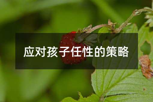 應(yīng)對(duì)孩子任性的策略