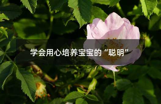 學會用心培養寶寶的“聰明”