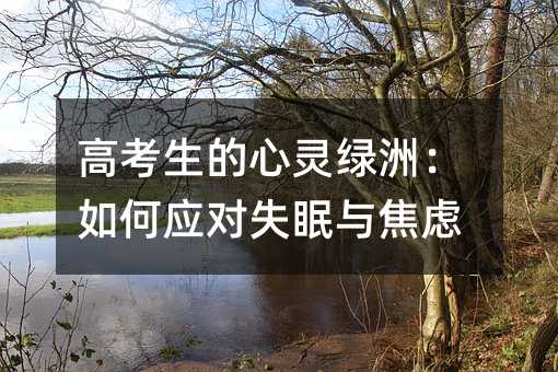高考生的心靈綠洲:如何應(yīng)對(duì)失眠與焦慮