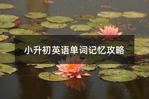 小升初英語單詞記憶攻略