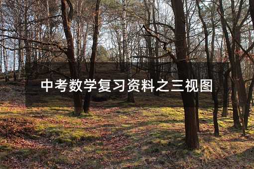 中考數學復習資料之三視圖