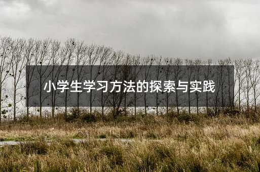 小學生學習方法的探索與實踐